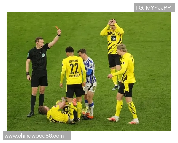 柏林赫塔队德甲惊世逆袭首次问鼎德甲联赛冠军