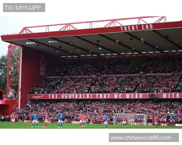 拜仁慕尼黑轻松击败维尔茨堡，展示王者风范