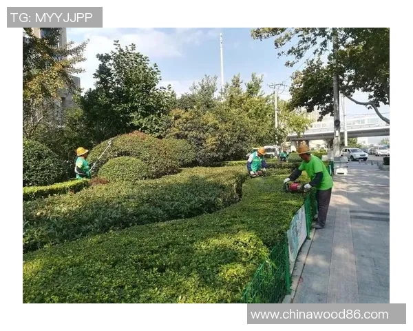 罗马市政府启动城市绿化工程，打造更宜居环境