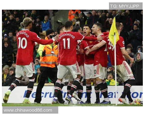 欧洲顶级足球联赛英超直播赛事延期受疫情影响重要消息一次告诉你