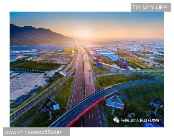 罗马交通拥堵问题日益严重市民呼吁加强公共交通建设 罗马交通拥堵问题日益严重市民呼吁加强公共交通建设