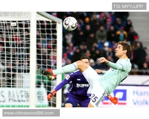 汉诺威96全力备战，瞄准德甲冠军！