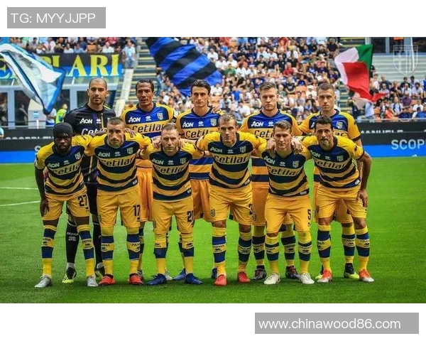 意甲球队纷纷报名参加新赛季国际比赛,引发球迷热烈讨论 意甲球队纷纷报名参加新赛季国际比赛,引发球迷热烈讨论