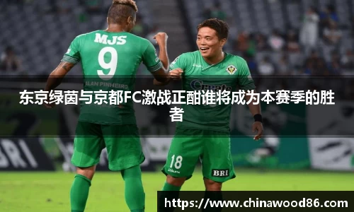 东京绿茵与京都FC激战正酣谁将成为本赛季的胜者